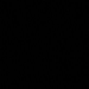 Meet your Posher, Jaylea